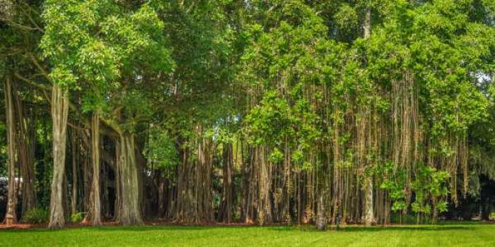 Người mệnh Đại Hải Thủy khắc những người mệnh Thổ